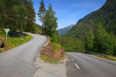 Resimli Norveç karayolu manzarası.
