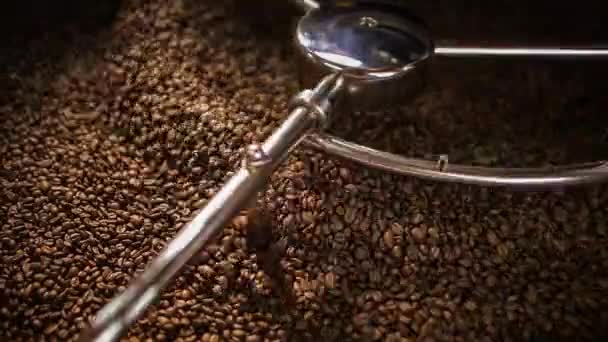 Mixing roasted coffee — Stock Video