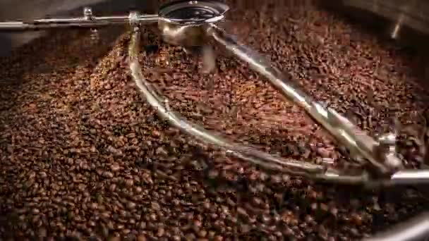 Mixing roasted coffee — Stock Video