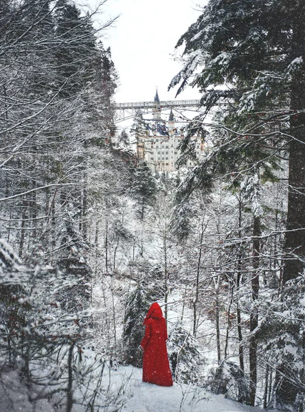 En flicka i en röd vintermantel tittar på slottet i de snöiga bergen — Stockfoto