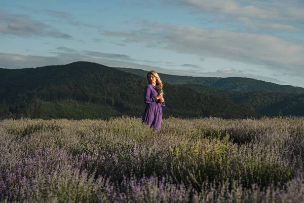 Kvinna i lila klänning på lavendel fält Stockbild