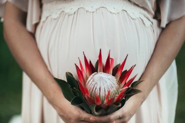 Elinde çiçekle hamile bir kadın.