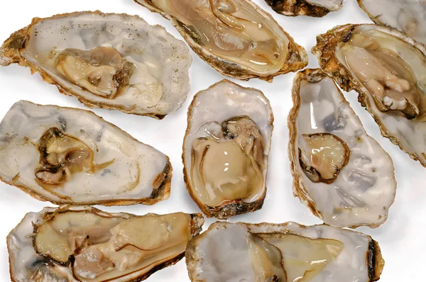 Beyaz arka plan istiridye ham tanınan