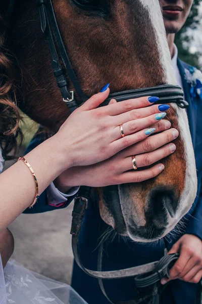 Mãos Noivas Com Anéis Casamento Dourados Fecham Contexto Cavalo — Fotografia de Stock