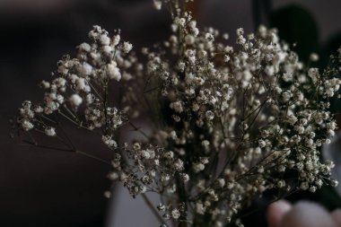 Gri taşların arkaplanındaki beyaz papatyalardan oluşturulan daire çerçeve