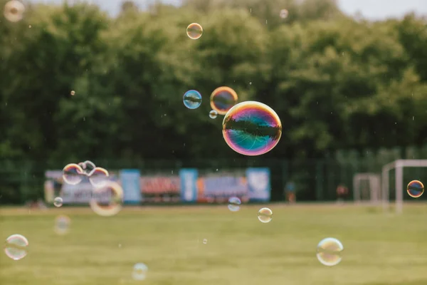 Gekleurde Zeepbellen Natuur Achtergrond — Stockfoto
