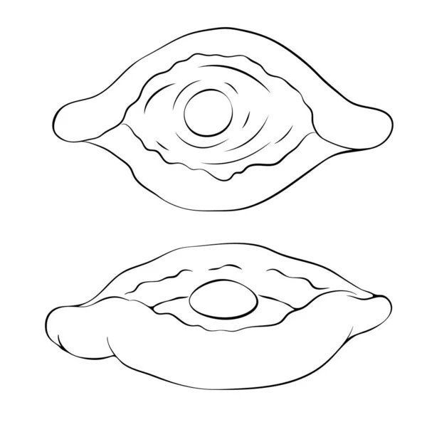 Традиційний пиріг для човнів з сиром і малюнком для яєць ізольований на білому. Ajarian або georgian khachapuri окреслюють ікону. нарисование. Приклад про сільські тістечка. для меню, дизайну пакунків, логотипу. — стокове фото