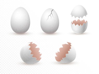 Cracked and broken empty eggs shells set isolated on transparent background. realistic vector illustration. whole and fragile broken white chicken eggs with cracks. design element. mockup template