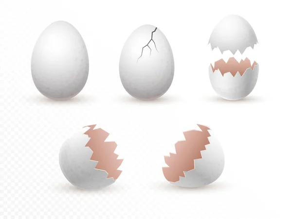 Coquilles d'œufs vides fissurées et cassées isolées sur le fond. illustration réaliste. oeufs de poulet blancs cassés entiers et fragiles avec des fissures. élément de conception. modèle de maquette — Photo