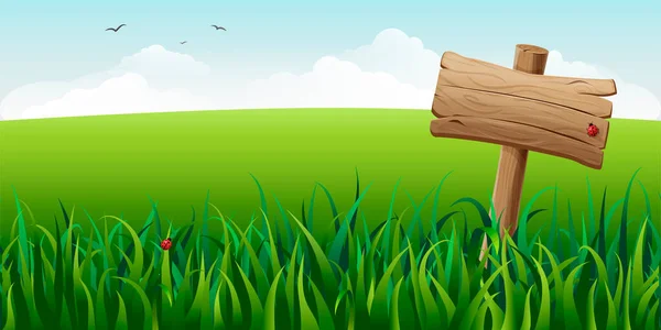 Дерев'яний знак у траві на полі Векторні ілюстрації. горизонтальний зелений літній пейзаж з вивіскою, хмарами та літаючими птахами. сільська ідилічна сцена. знак на весняному луговому фоні. прапор природи . — стоковий вектор