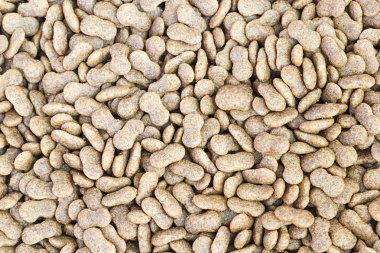 Köpek maması arka planı için.