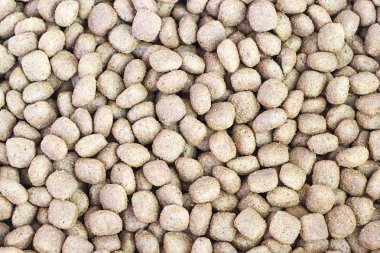 Köpek maması arka planı için