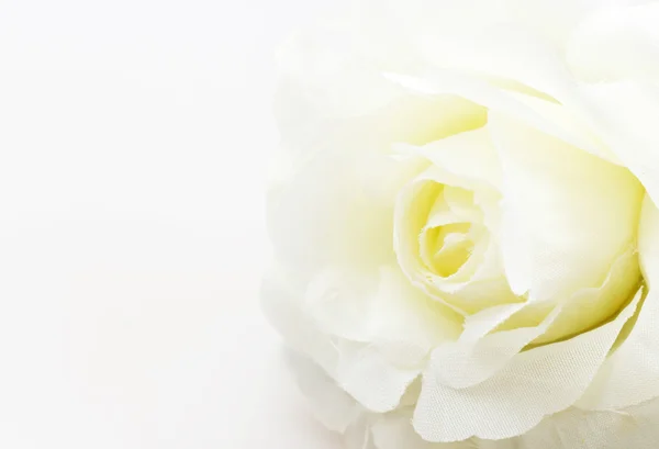 白色背景上的白色玫瑰假花 — 图库照片