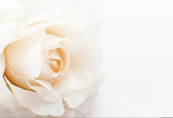 Rosa flor falsa sobre fondo blanco, enfoque suave —  Fotos de Stock