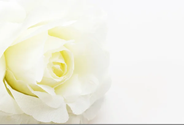 Rosa bianca finto fiore su sfondo bianco — Foto Stock