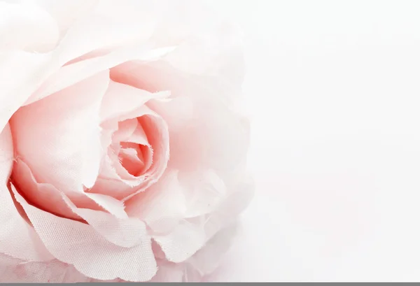 Rosa flor falsa no fundo branco, foco suave — Fotografia de Stock