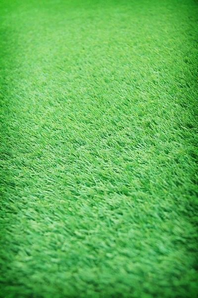 Artificial grass texture for background — Stock Photo, Image