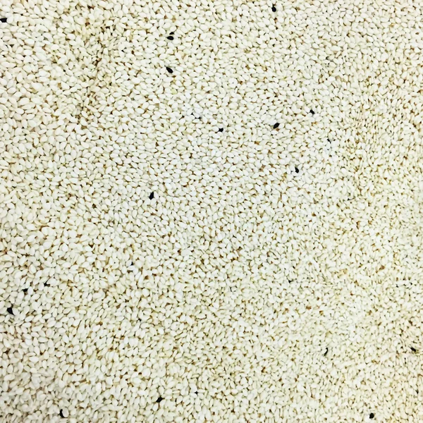 A lot of white sesame for background uses — Stock Photo, Image