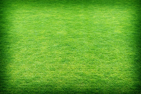 Fresh spring green grass texture or background. — Stock Photo, Image