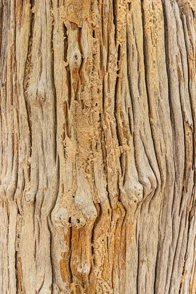 Textura o fondo de madera — Foto de Stock