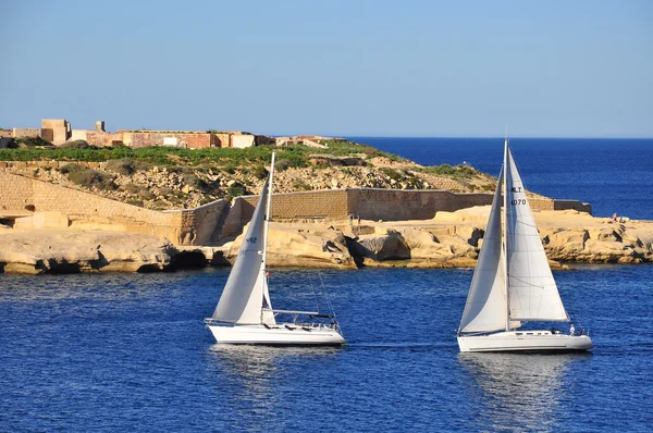 Zeilboten, Malta — Stockfoto