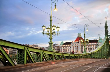 Merkezi Budapeşte Özgürlük Köprüsü görünümü
