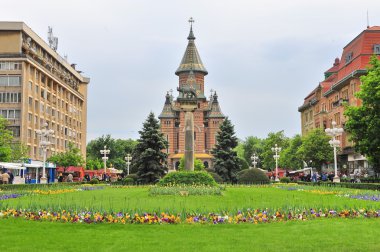 Şehrin Timisoara, Romanya Ortodoks katedrali