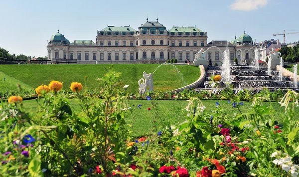 Summer flowers in Belvedere — Stock Photo, Image