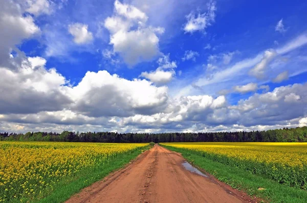 Landstraße und blauer Himmel — Stockfoto