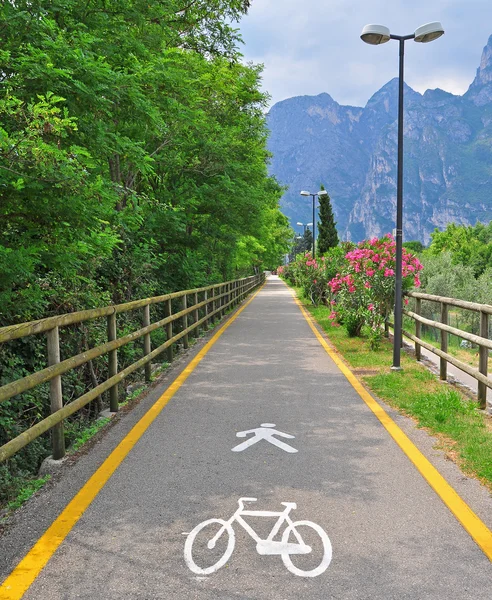 Bike path in the park — Stock Photo, Image