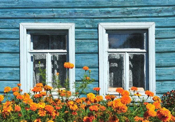 Deux fenêtres avec fleurs de jardin — Photo