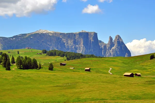 Bergen in de Alpen — Stockfoto