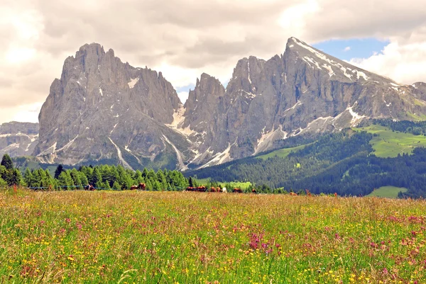 Alpi in estate — Foto Stock