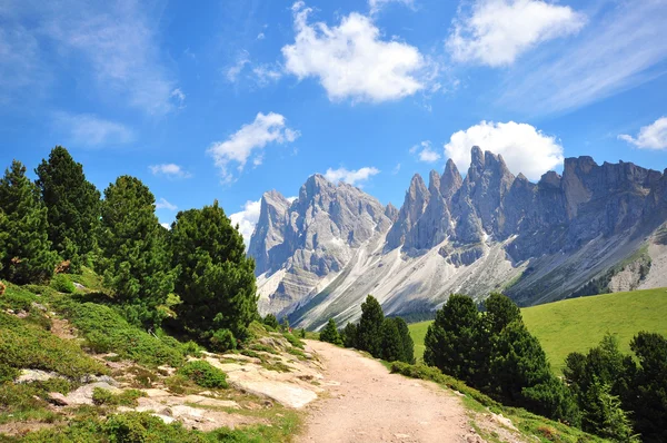 Wandelpad in Alpen — Stockfoto