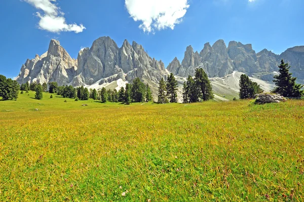 Blloming campo e montanhas — Fotografia de Stock