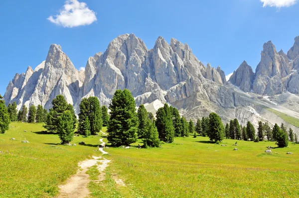 Alpler üzerinde yaz — Stok fotoğraf