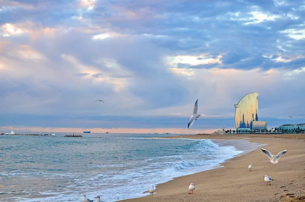 Barcelona strand — Stockfoto