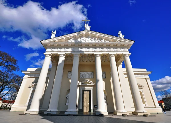 Vilnius cathedral — Stock Photo, Image
