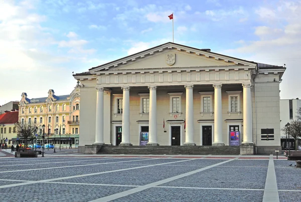 Vilnius townhall — Stock Photo, Image