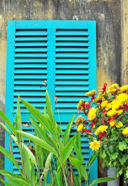 Stores de fenêtre et fleurs — Photo