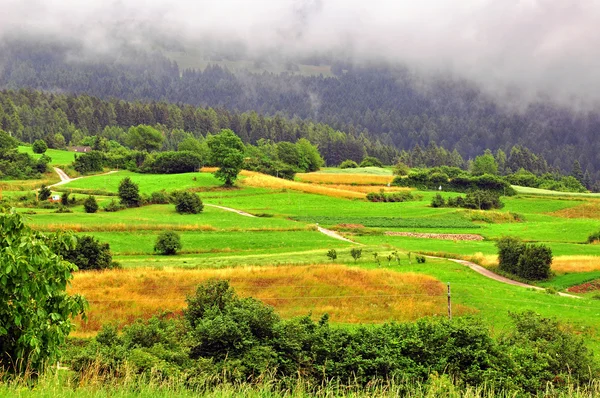 Alpejska łąka — Zdjęcie stockowe