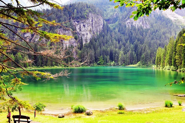 Lago verde nelle Alpi italiane — Foto Stock