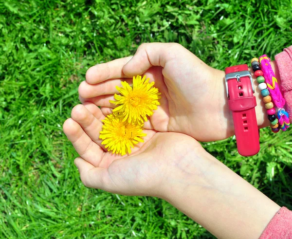 Kind handen met een bloem — Stockfoto