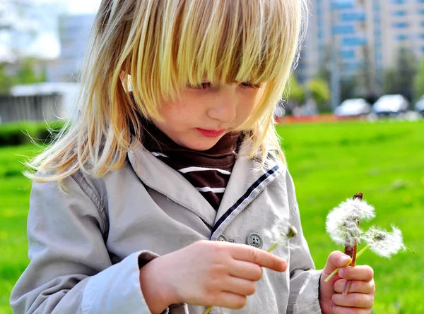 Cute boy with dandelions — Stock Photo, Image