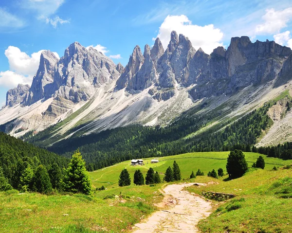 Winding path — Stock Photo, Image