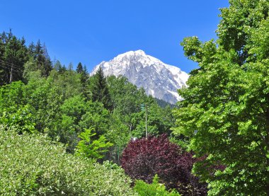 Montblanc görünümünü