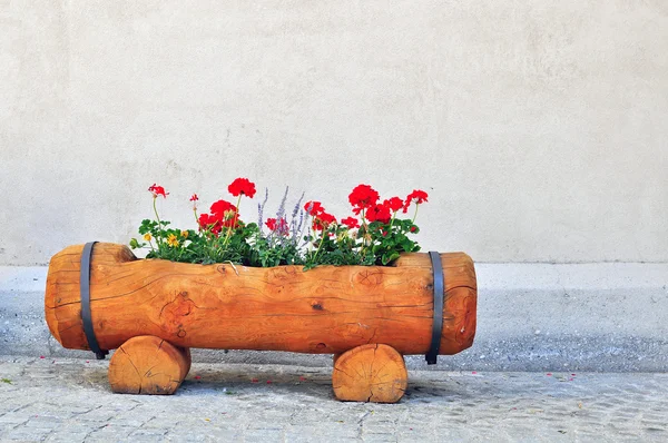 Cama de flores — Fotografia de Stock