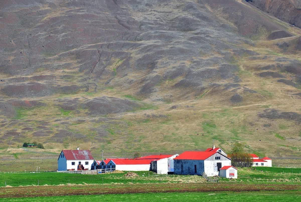İzlandalı yataygullfoss Şelalesi — Stok fotoğraf