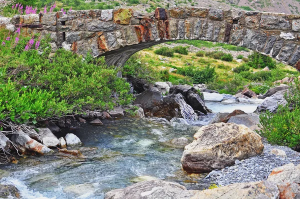 Fluss in den Bergen — Stockfoto