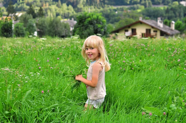 Niño rubio en el campo de hierba —  Fotos de Stock